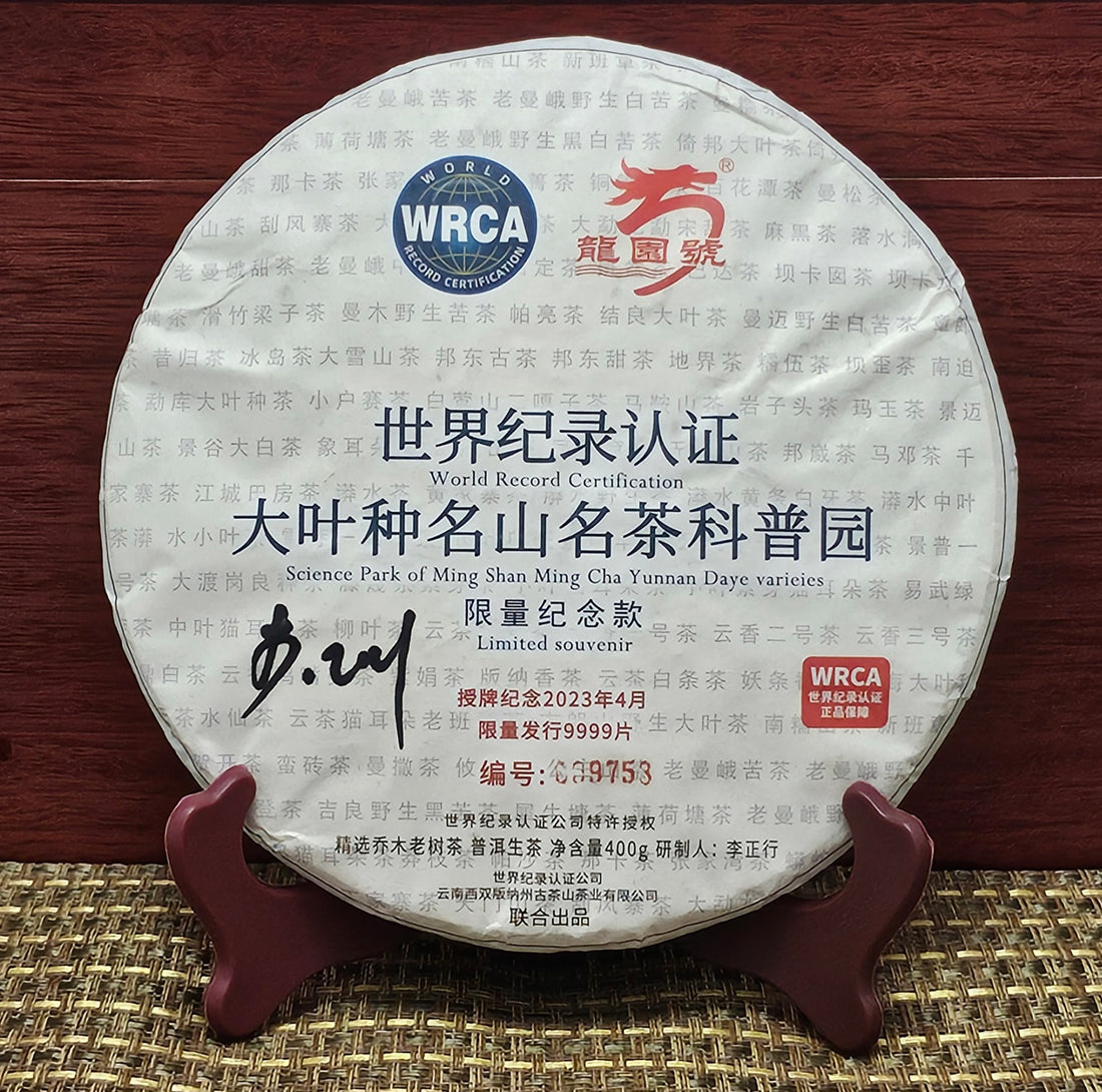 Exploring the Rich Legacy of Lao Ban Zhang Tea A Taste of Tradition
