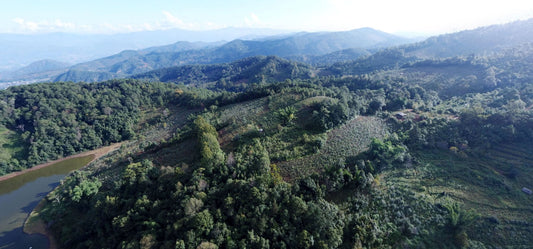 Aerial view of lush, green mountainous terrain with scattered vegetation, trees, and a small body of water in the foreground, under a clear sky.