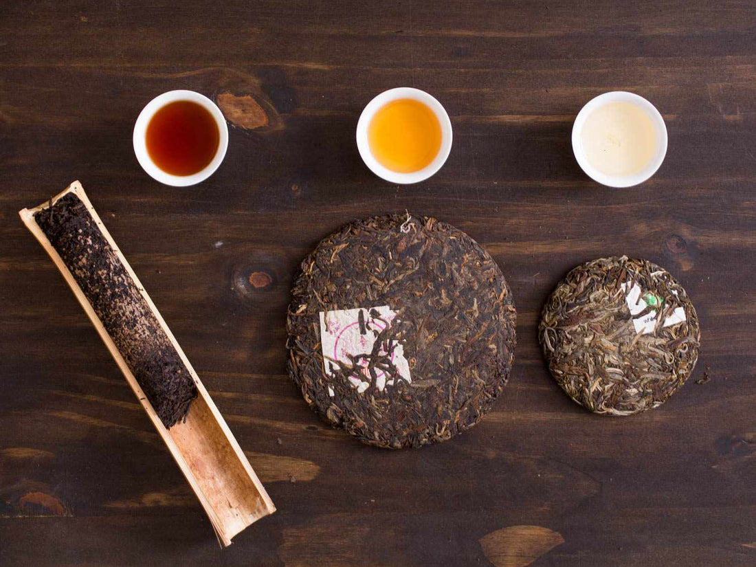 Three different types of tea leaves are compressed into a cake along with three cups of brewed tea.