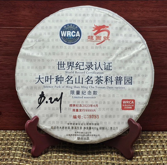 Exploring the Rich Legacy of Lao Ban Zhang Tea A Taste of Tradition