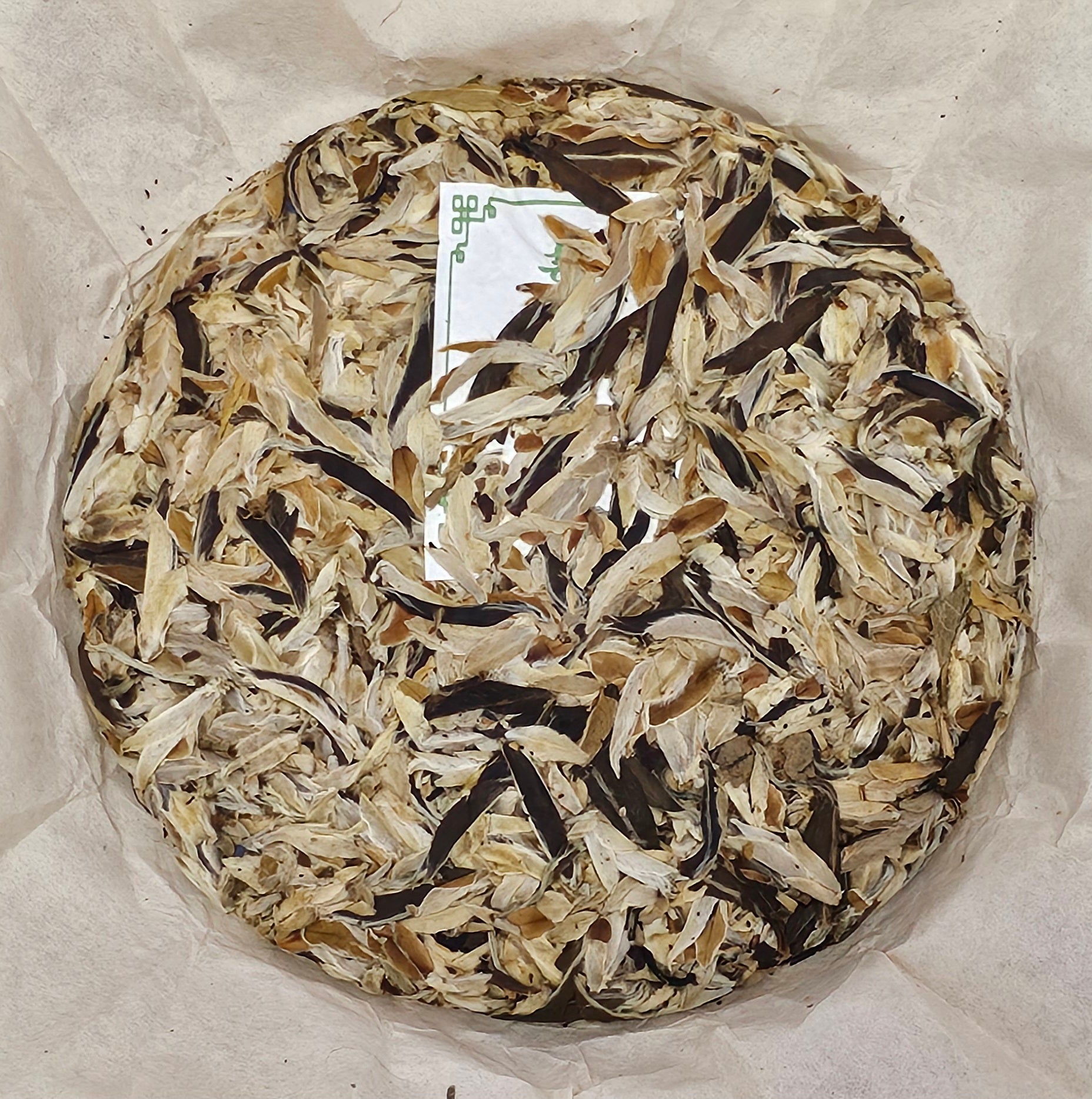 A **2005 Wild Ancient Tree Snow Bud Feather White Tea《野生古樹雪芽羽毛白茶》357g** from **ZenTea Manor-YN003**, featuring a mix of dark and light leaves, harvested from ancient tea trees, placed on parchment paper.