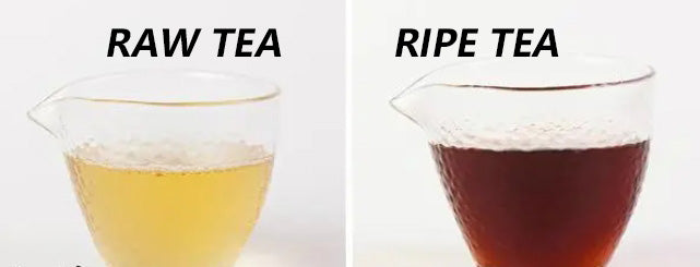 Image 3: 生茶和熟茶顏色不同